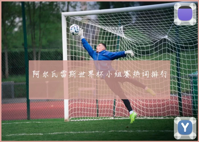阿尔瓦雷斯世界杯小组赛热词排行