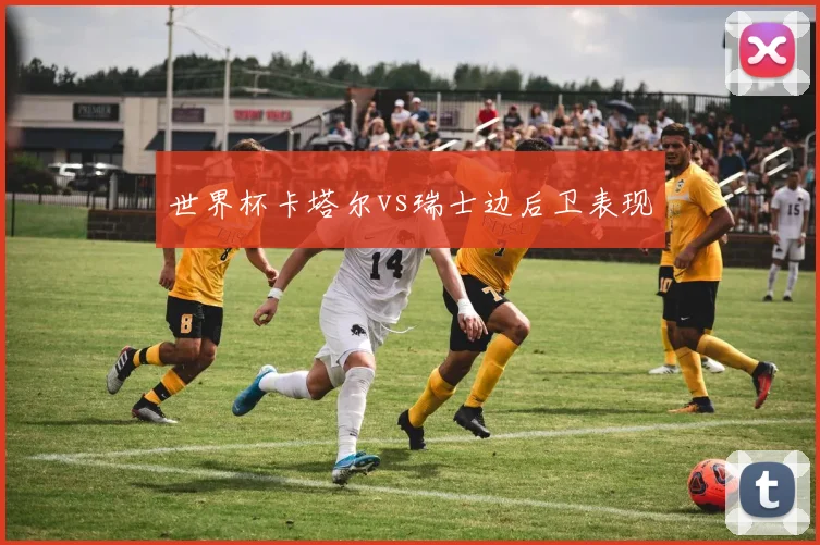 世界杯卡塔尔vs瑞士边后卫表现