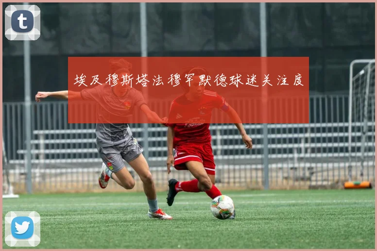 埃及穆斯塔法穆罕默德球迷关注度