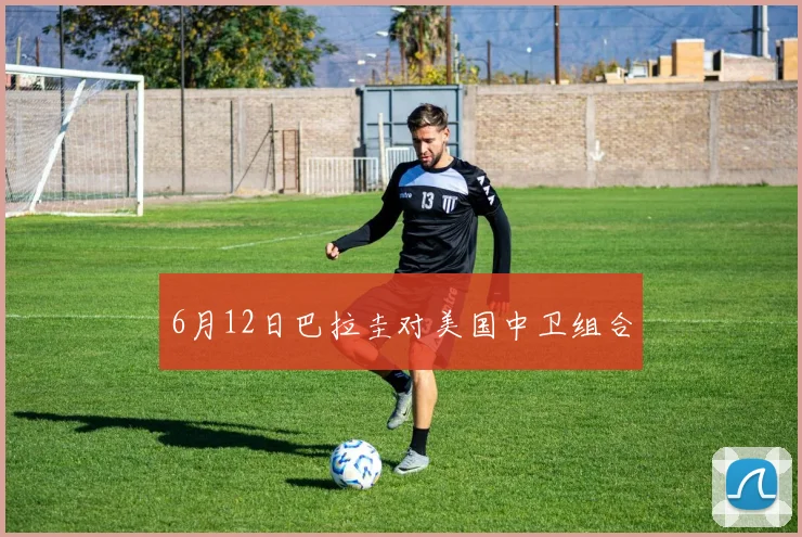 6月12日巴拉圭对美国中卫组合