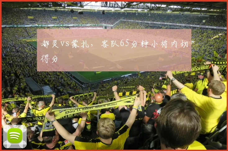 都灵vs蒙扎，客队65分钟小将内切得分